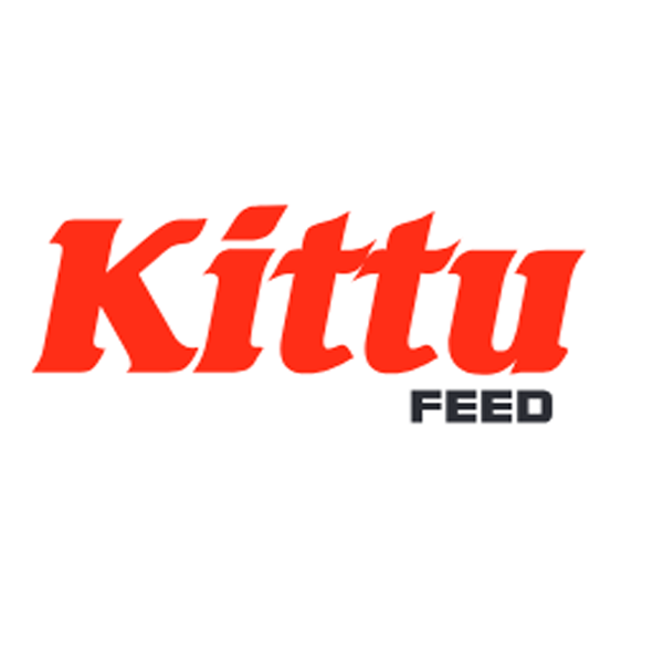 kittu.png
